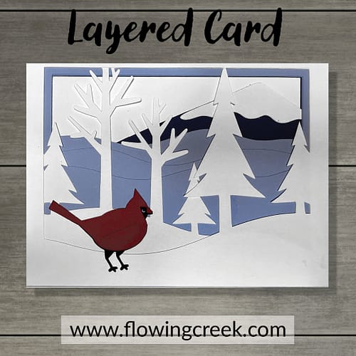 250886-WinterCardinalCard_MU_1080 x 1080_40