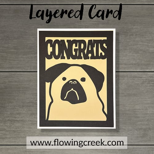 PugDogCongrats_MU_1080 x 1080_38