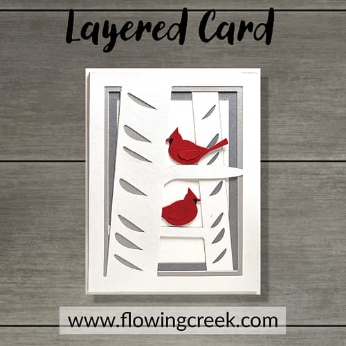 251042-2CardinalBirchCard-MU_40_15 x 15